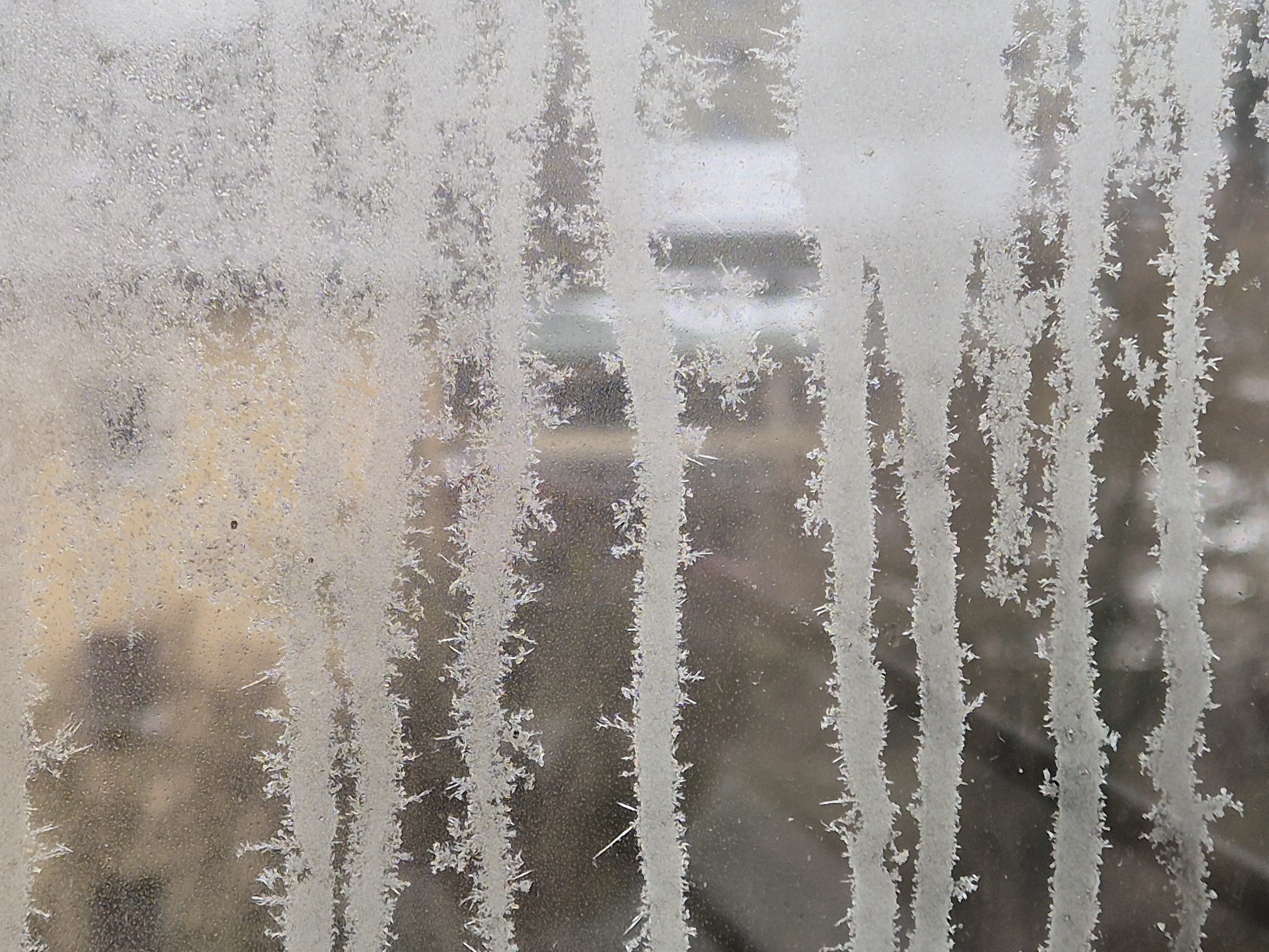 Ice_2025_12