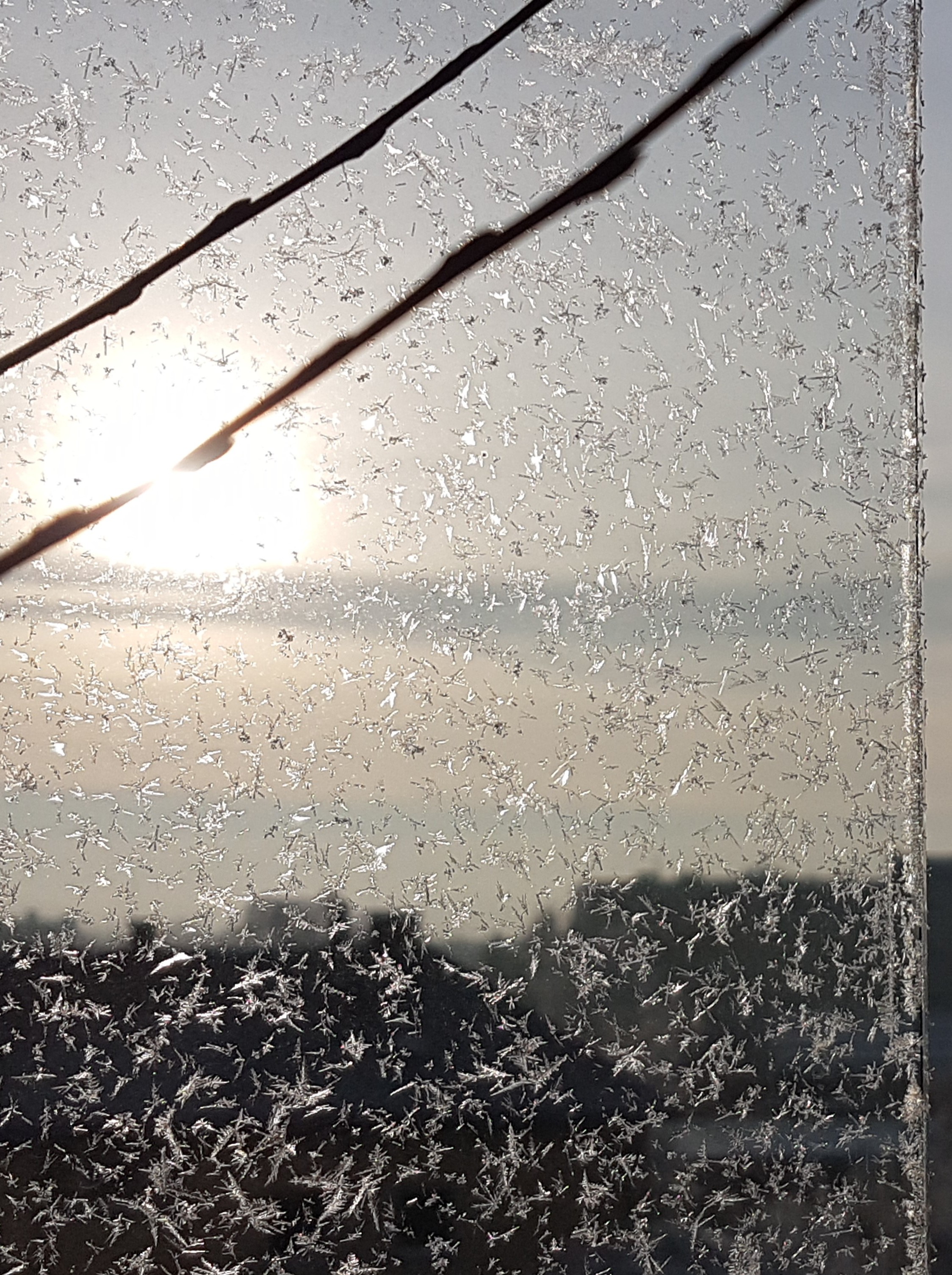 Ice_2025_3