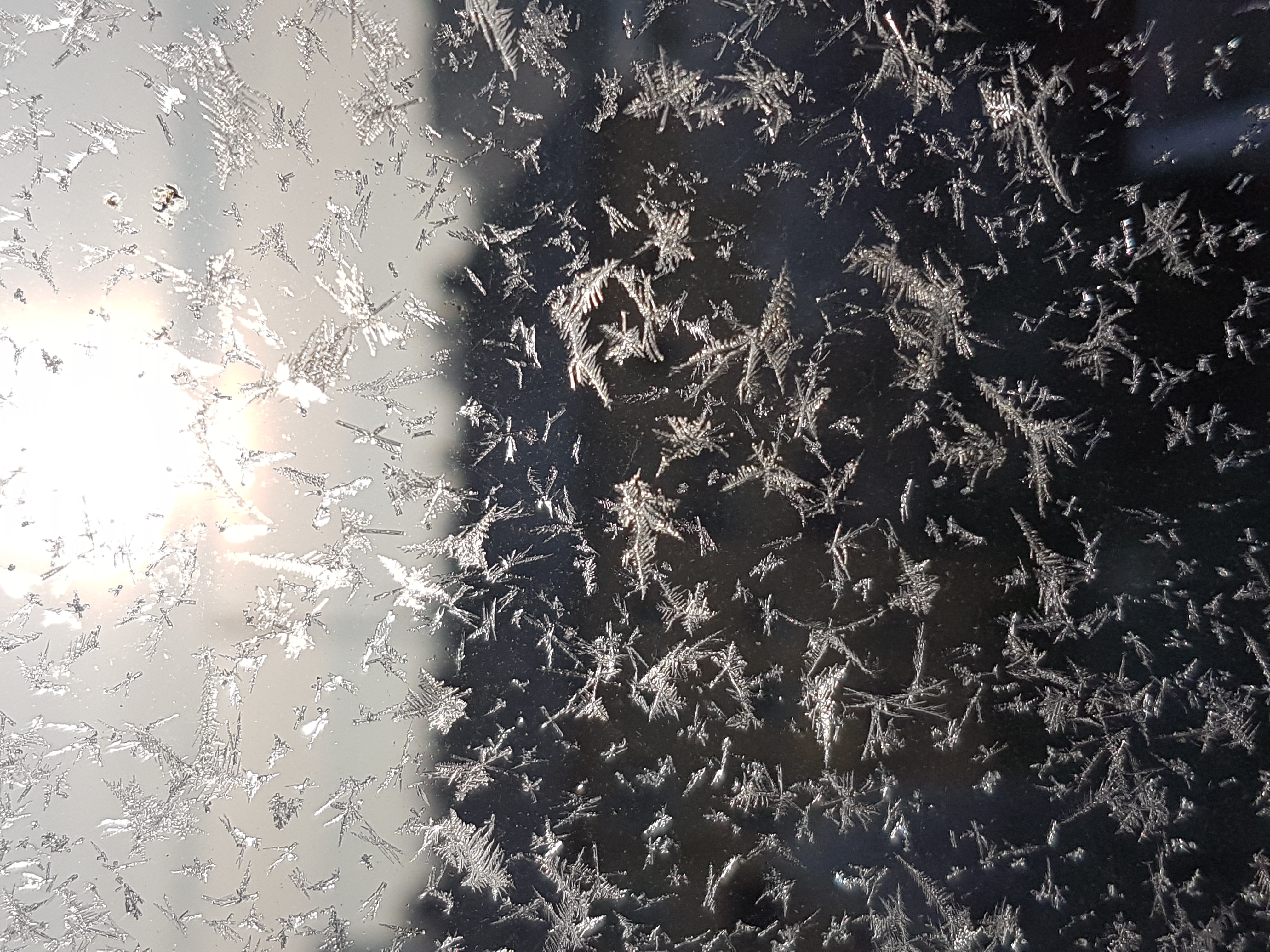 Ice_2025_4