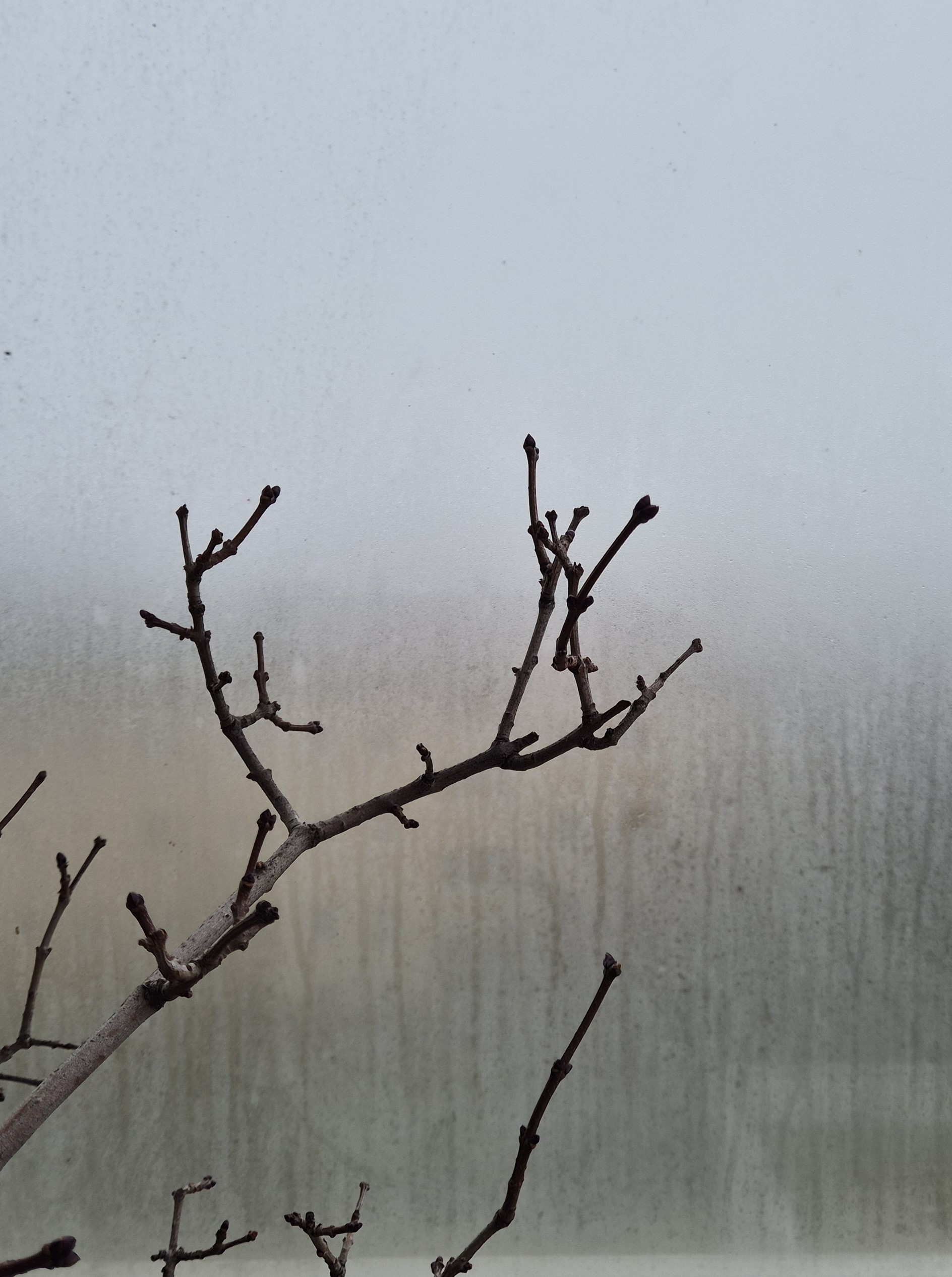 Ice_2025_9