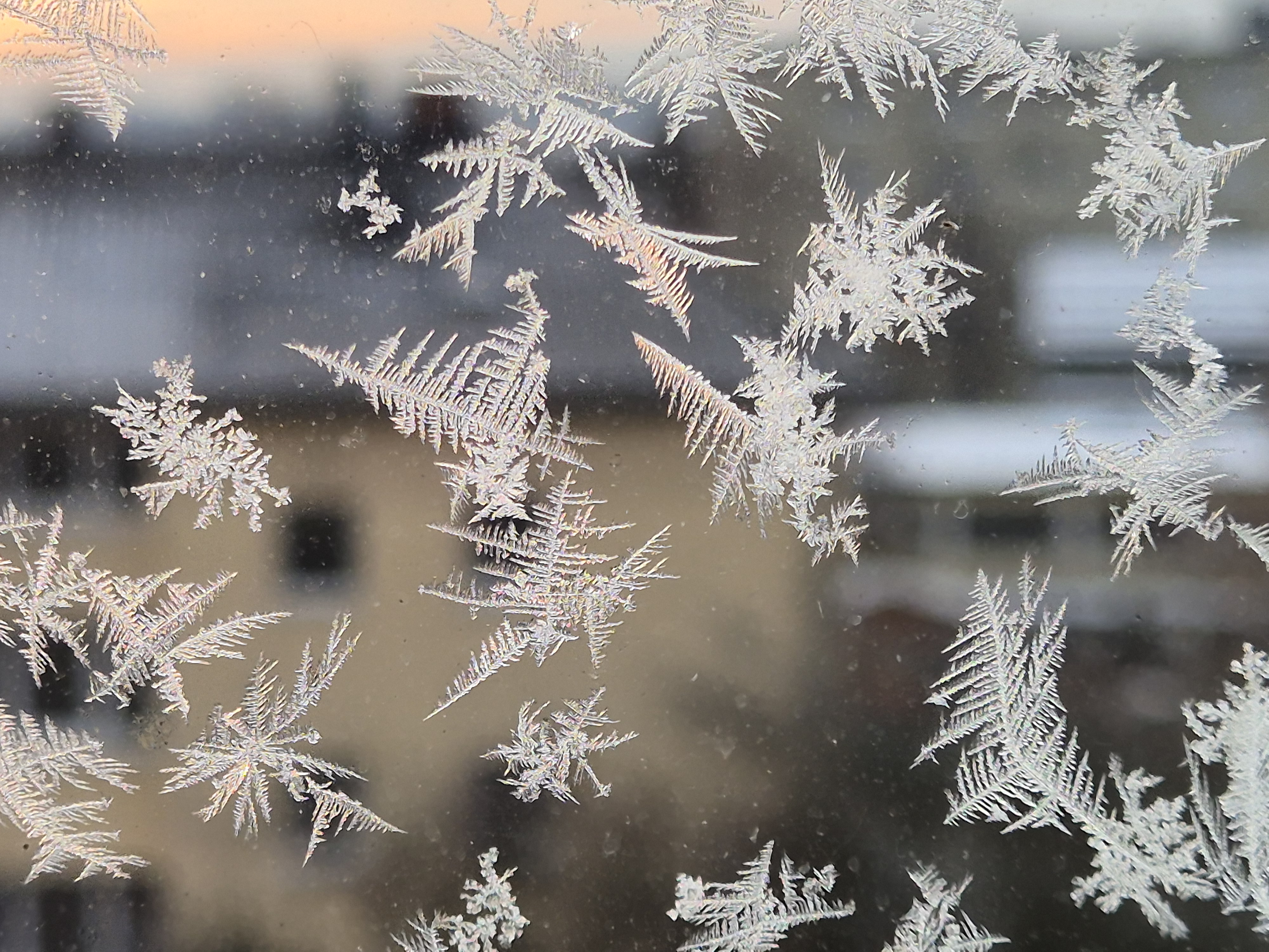 Ice_2026_11