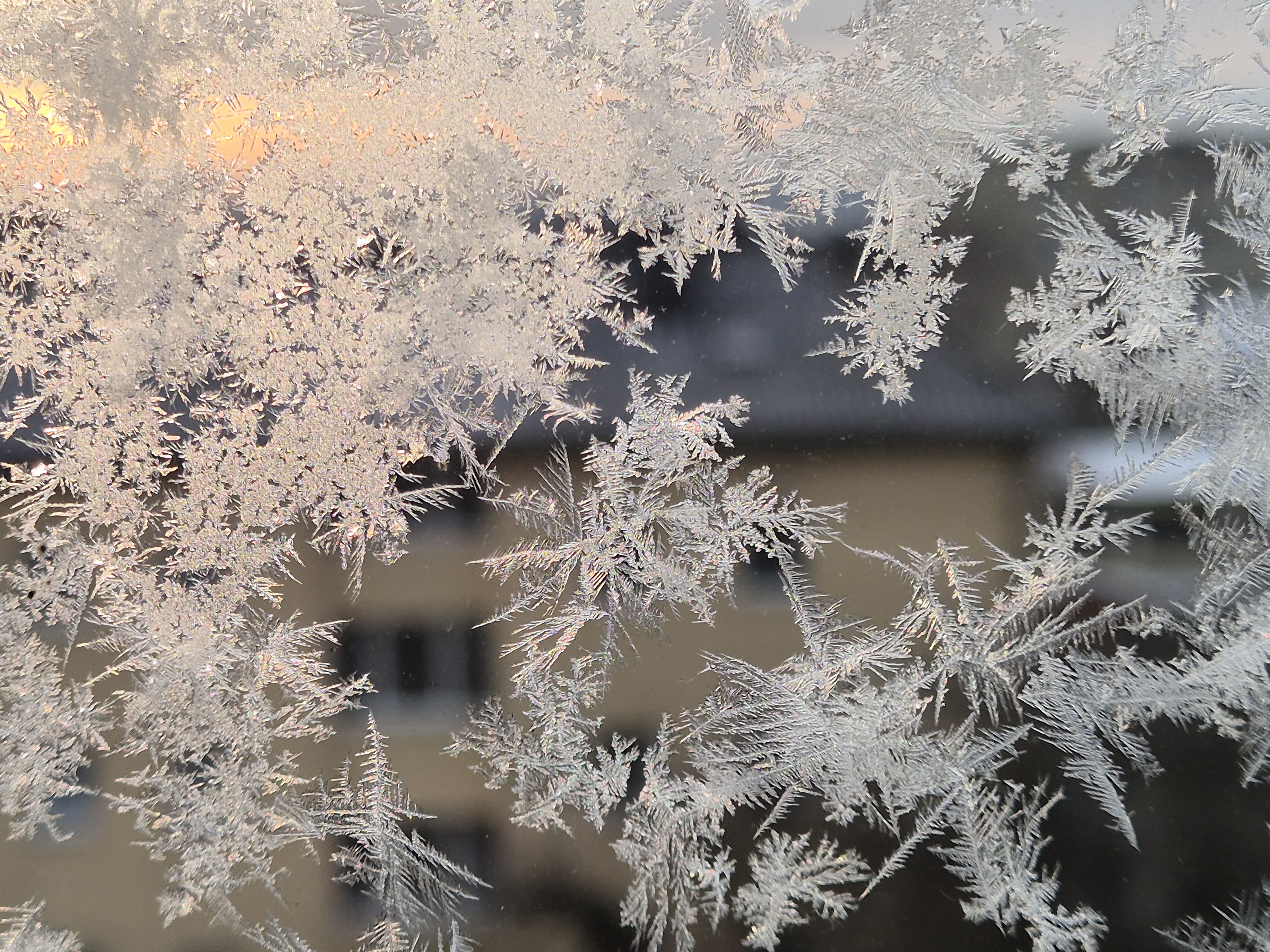 Ice_2026_12