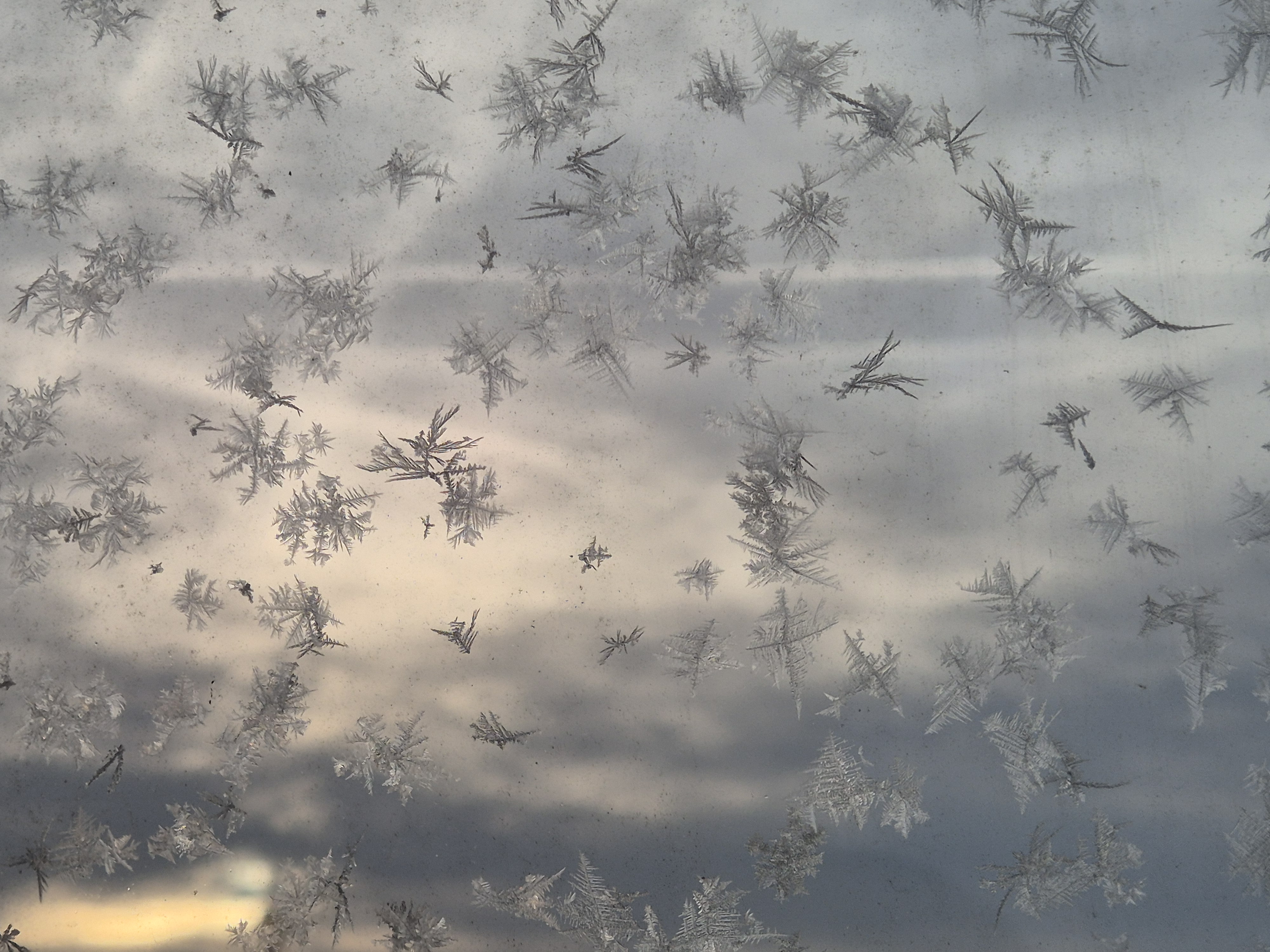 Ice_2026_13