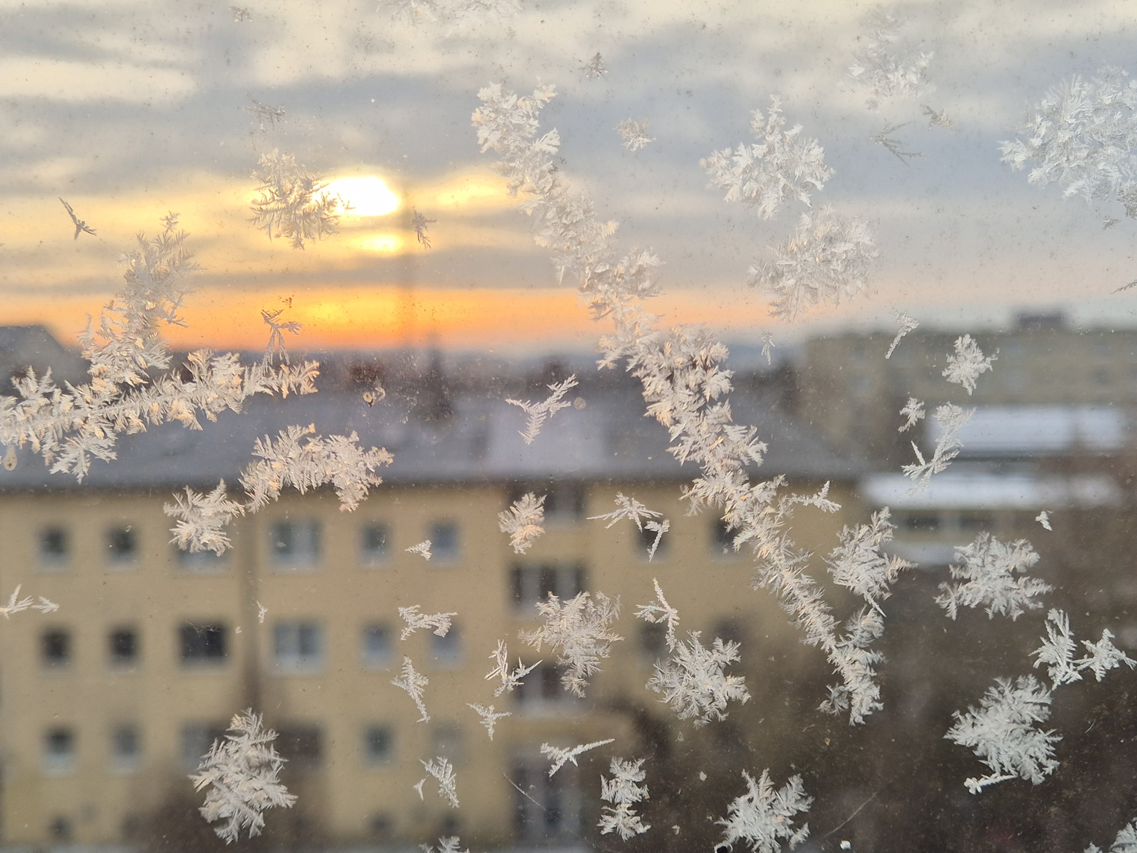 Ice_2026_5