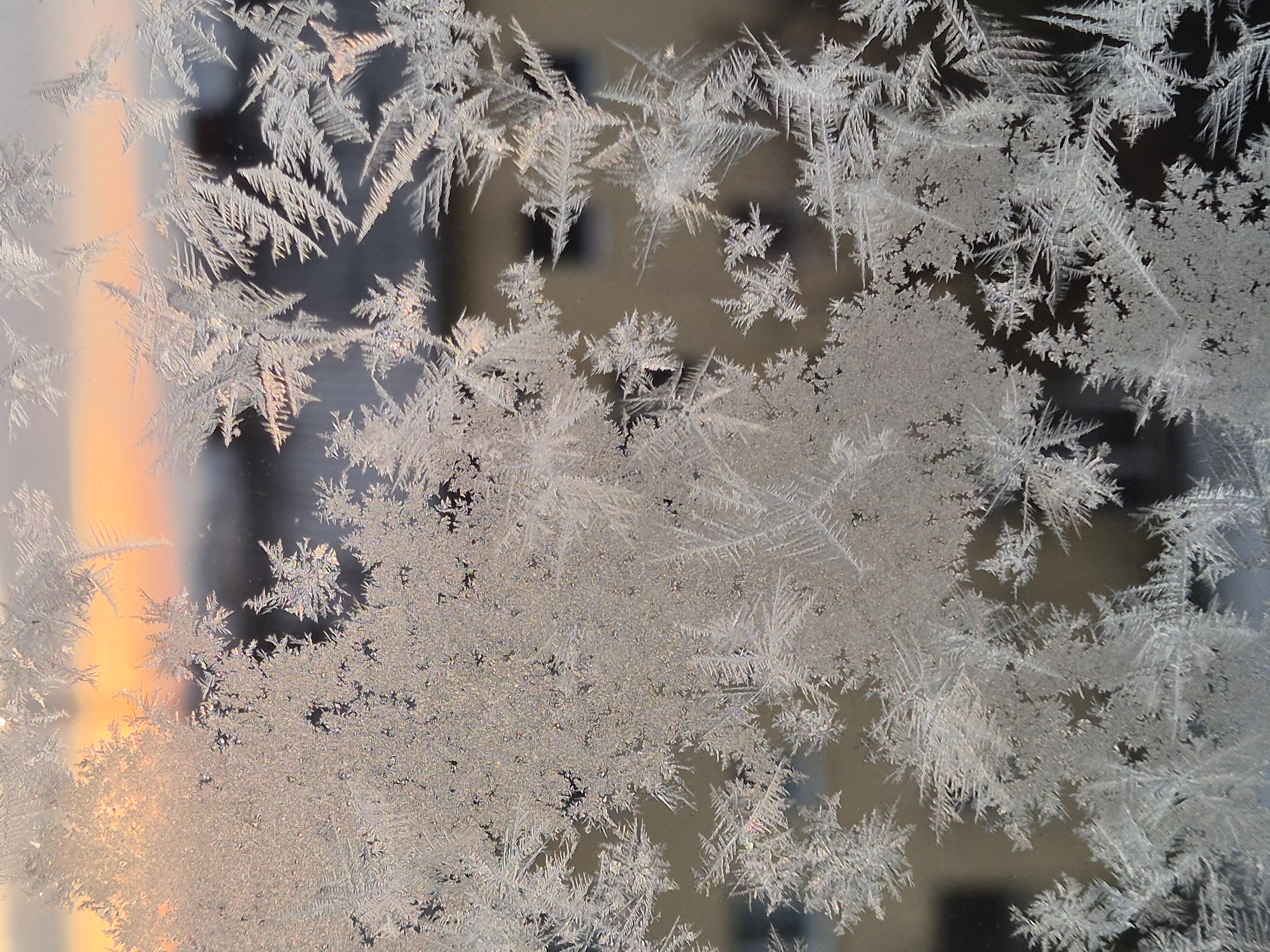 Ice_2026_7