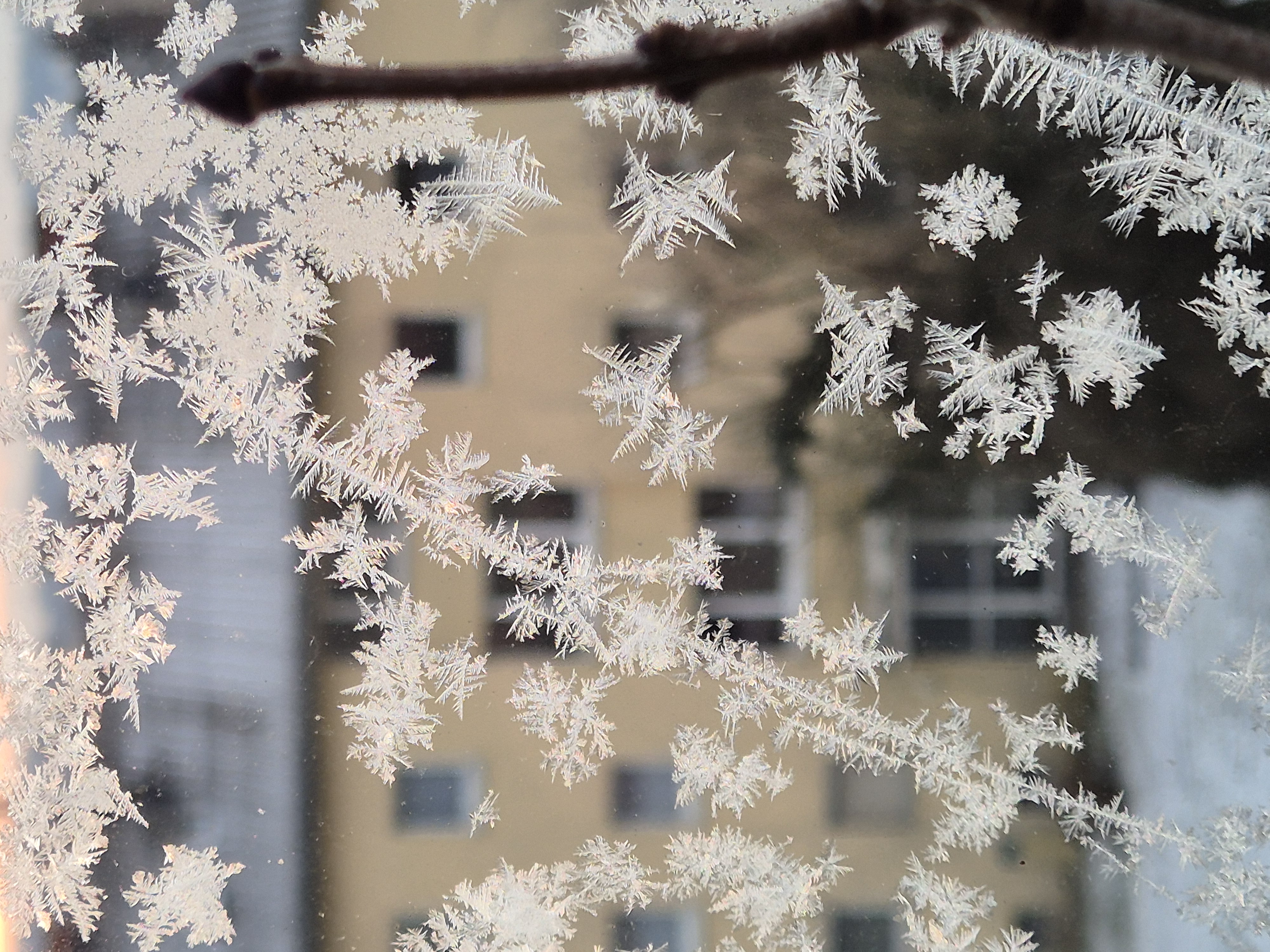 Ice_2026_9