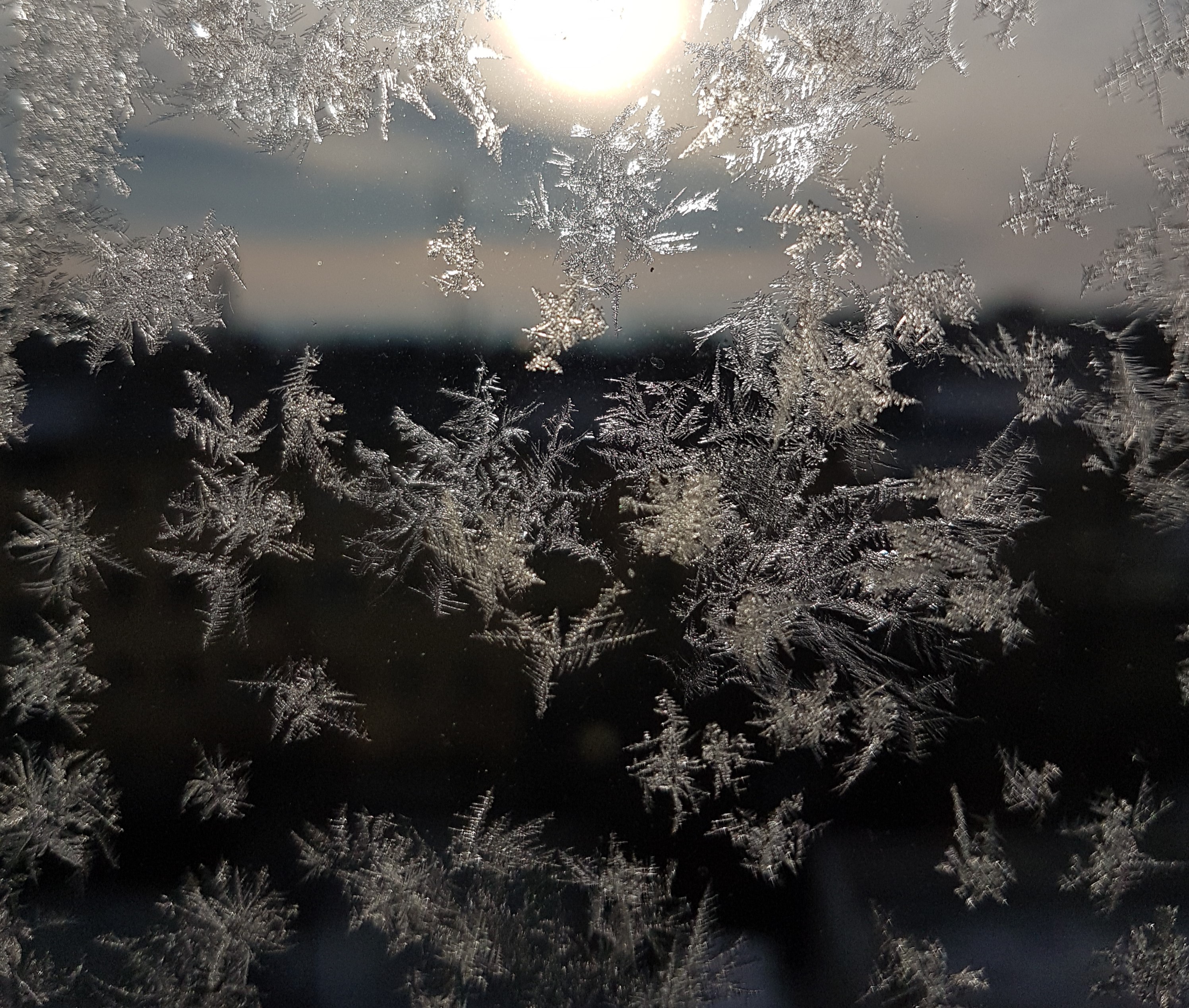 Ice_Titel