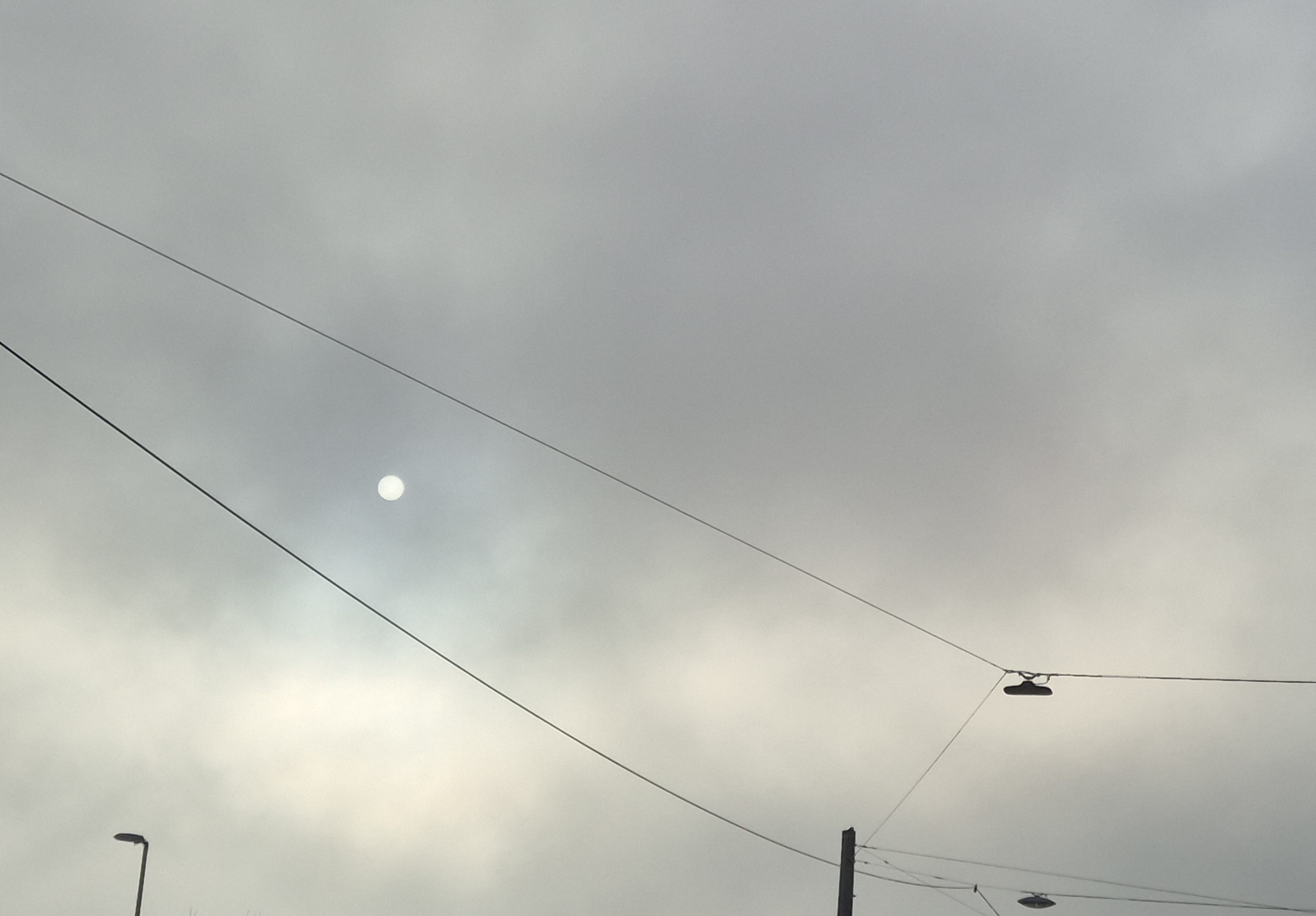 Mel_10