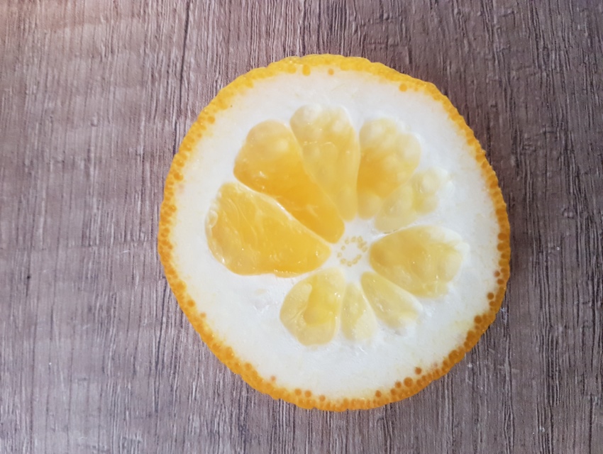 Orange_10