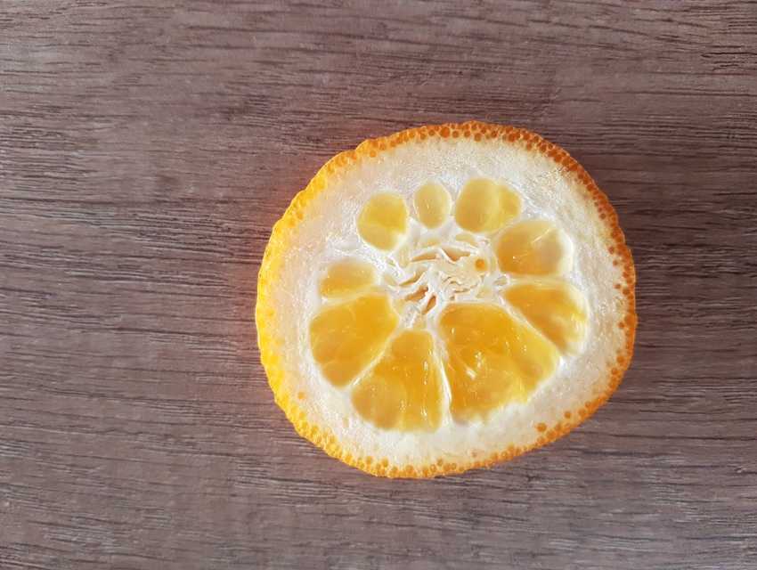 Orange_6