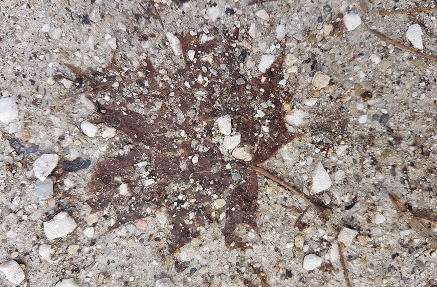 print_05