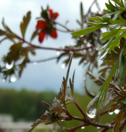water10