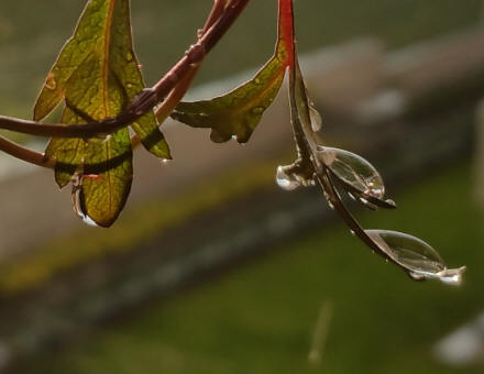 water1_1