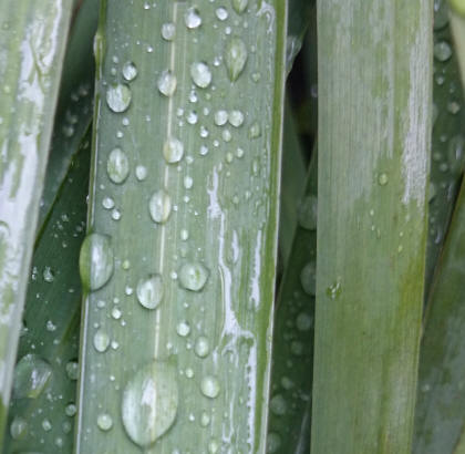 water22