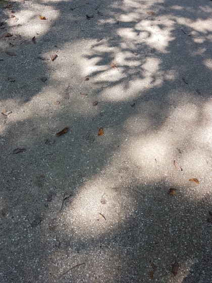 Licht_1