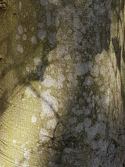 Wasser05
