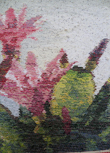 1006